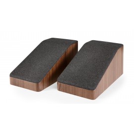 Polk Audio Reserve R900 Atmos Hoparlör 